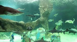Parque zoológico de Madrid