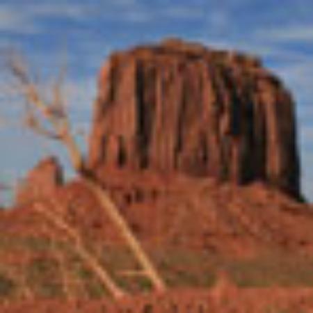 El Rincon de Paulino