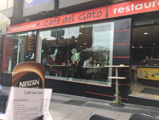 El Café del Gato