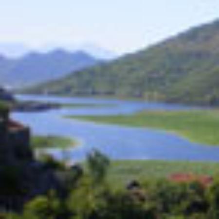 La Andaluza