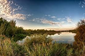 la Laguna del Campillo