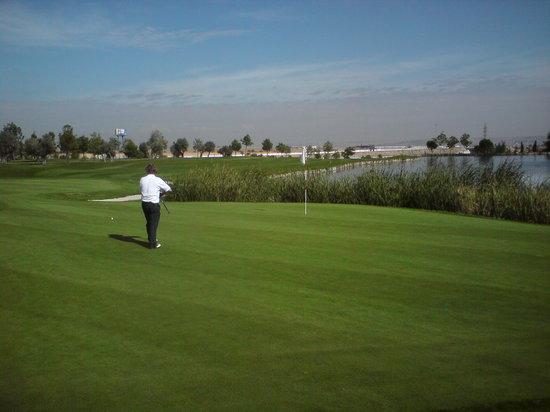 Golf Olivar