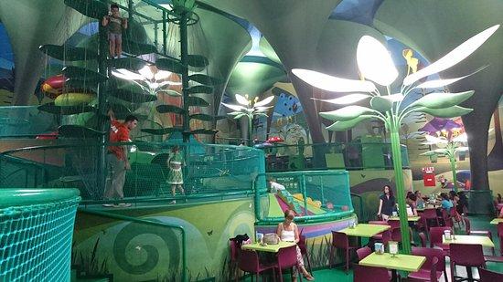 Magic Forest