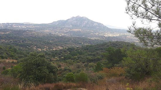Peña Muñana